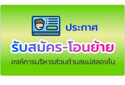 องค์การบริหารส่วนตำบลแม่สลองใน