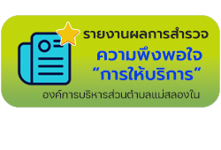 องค์การบริหารส่วนตำบลแม่สลองใน