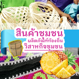 องค์การบริหารส่วนตำบลแม่สลองใน