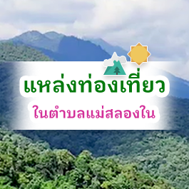 องค์การบริหารส่วนตำบลแม่สลองใน